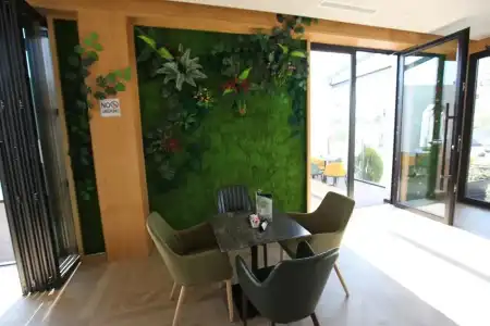 Bonsai - 6