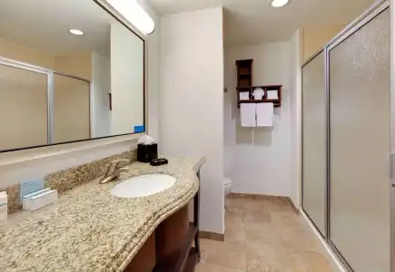 Hampton Inn & Suites Dallas-Arlington-South - 50
