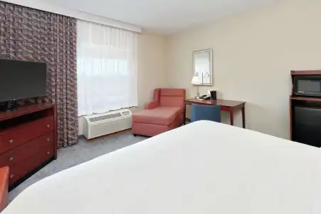 Hampton Inn & Suites Abilene I-20 - 57