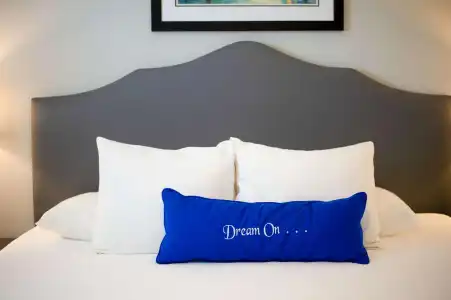 Frenchmen Orleans at 519, Ascend Collection - 41