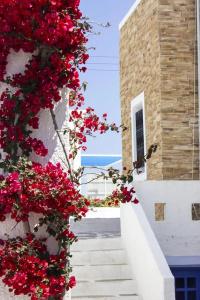 Naxos Holidays - 23