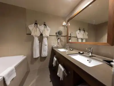 Sofitel Lyon Bellecour - 29