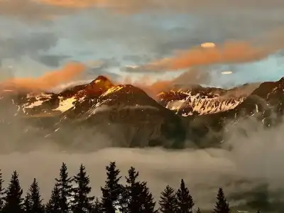 Arlenwald - 16