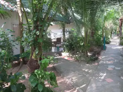 Lanta Island Resort - 152