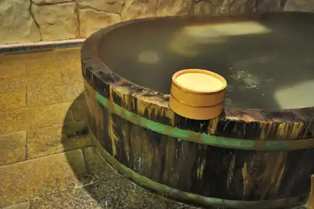 Kagoshima Sunamushi Onsen Ibusuki Hakusuikan - 35