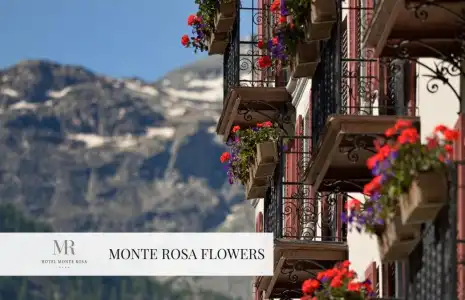 Monte Rosa - 17