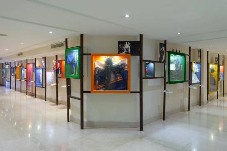 U Magic Palace - 16