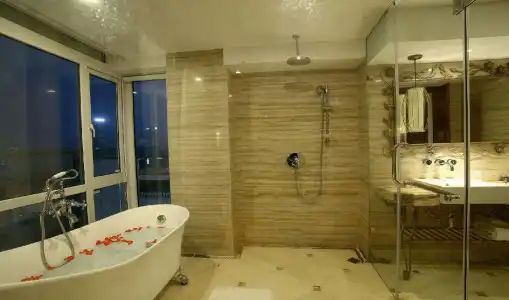 The Palmy and Spa - 5