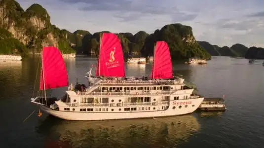 Syrena Cruises - 11