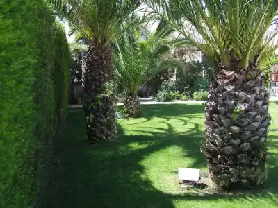 Solar de Mós - 34