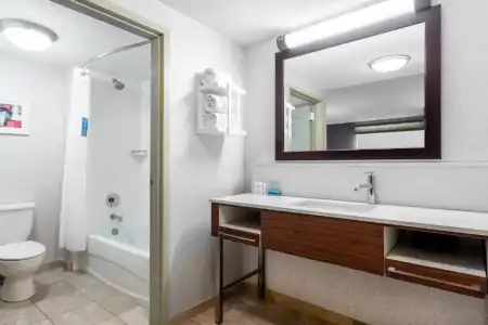 Hampton Inn Suites Minneapolis St Paul Arpt-Mall of America - 70