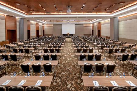 Radisson Blu Spa Istanbul Tuzla - 13