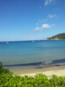 del golfo - 14