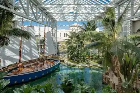 Gaylord Palms Resort & Convention Center - 17