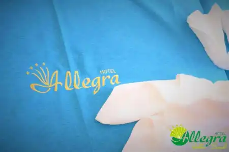 Allegra Balneo & SPA - 55