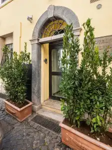 Numa Rome Tullo - 0