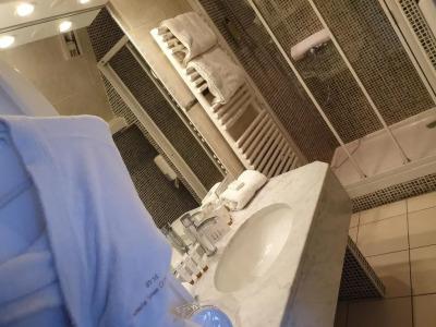 Le Trophée Boutique Hôtel Spa - La Loggia Appart'hôtel - 8