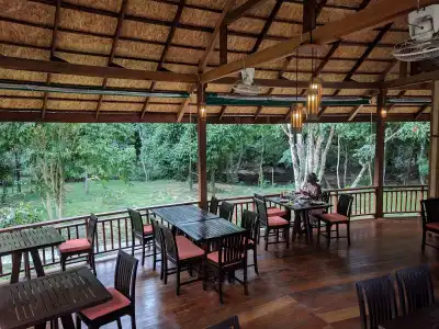 Our Jungle Camp - Eco Resort - 9