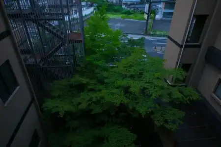Yunosato Hayama - 0