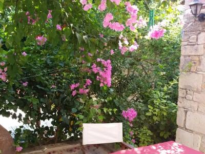 Archondia House - 17