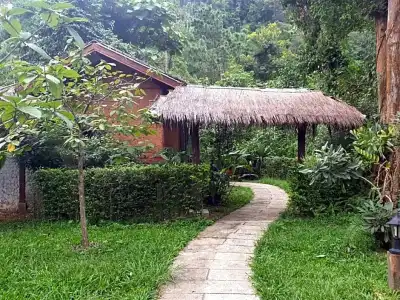 Saranghae Resort Chiang Dao - 121