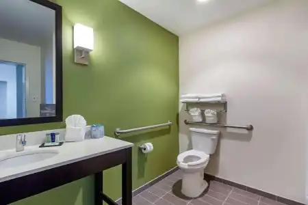 Sleep Inn & Suites Tampa South - 55