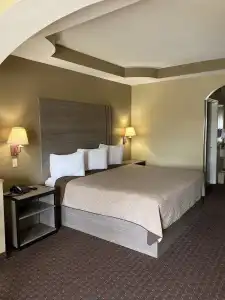 Lotus Inn - 13