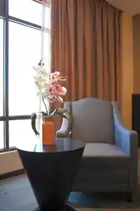 Horizon - 55
