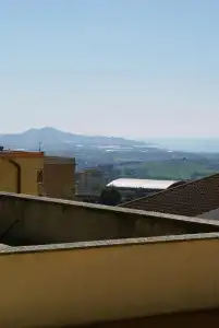 Amici - 15