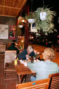 Le Gecko - 21