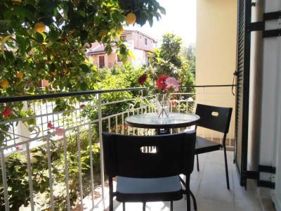 Elenas Garden - 27
