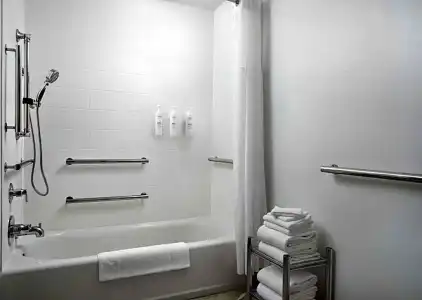 Hampton Inn & Suites Austin Downtown - 77
