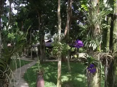 Lundaresort & Orchid - 71