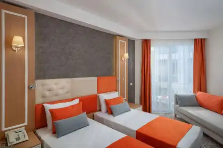 Golden Orange - 6