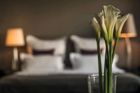 A-Rosa Ceres am Meer - Adults Only - 50