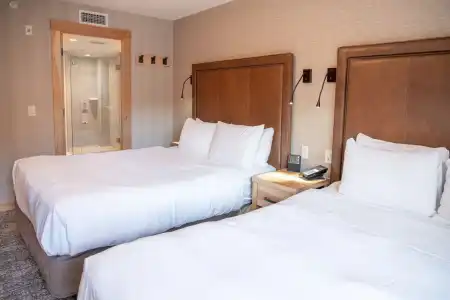 Moose And Suites - 3