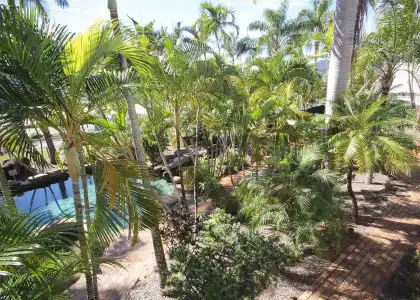 Best Western Colonial Palms Motor Inn - 14