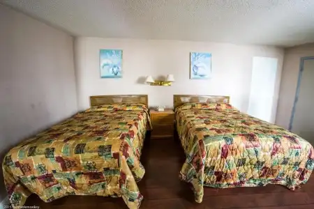 Hollywood La Brea Inn - 56
