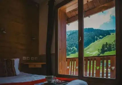 Hôtel Les Grangettes - 74