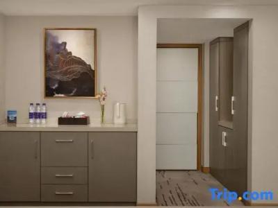 SciTechˑChina NARADA - 50