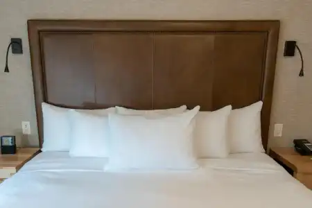 Moose And Suites - 138