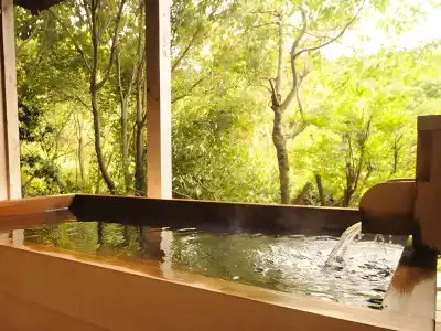 Hanashinsui Ryokan - 9