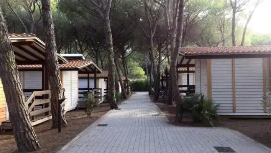 Camping Village Il Sole - 53
