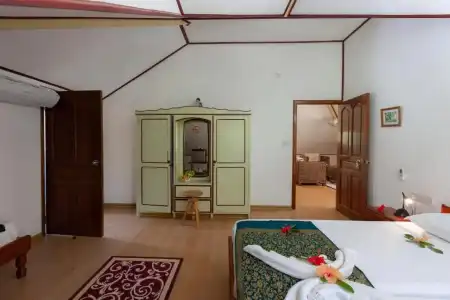 Kot Babi - 28