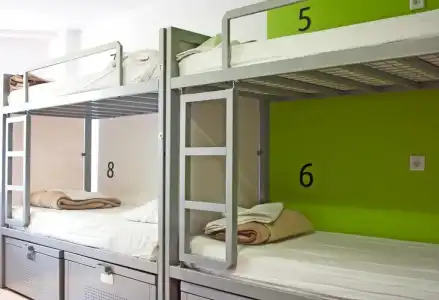 The White Tulip Hostel - 52