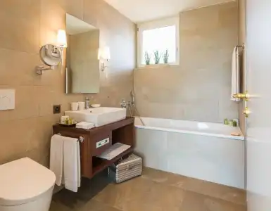 Luxury Villa – Deltapark - 6