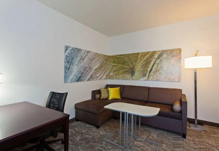 SpringHill Suites El Paso - 5