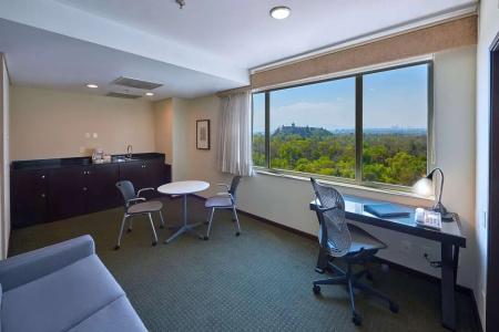 Hilton Garden Inn Mexico City Polanco - 7