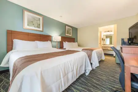 Quality Inn Bellevue - 4