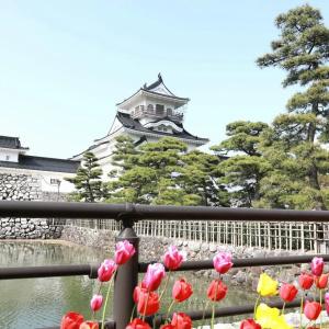 Toyama Town 24 - 42